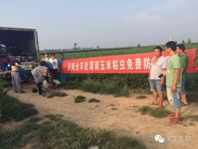 【致敬】致可愛的人----全力奮斗在華陰蟲災一線的各位領(lǐng)導和全豐家人